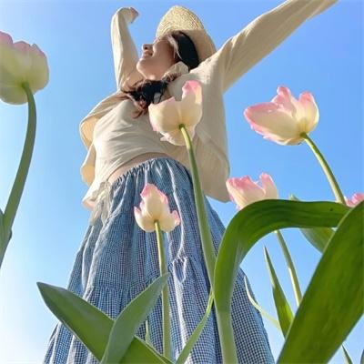 托芙