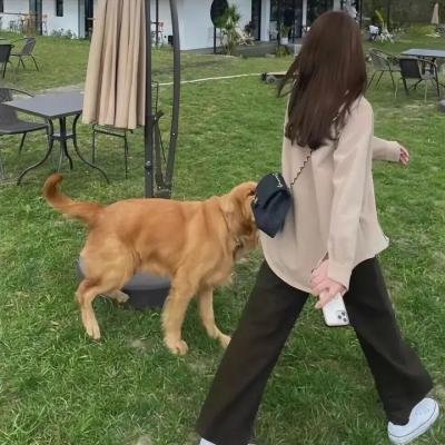 火线大追击
